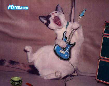 [pyzamguitarkitty[1].jpg]